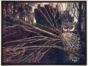 Ou un hibou hurleur, des Contes de fées des frères Grimm, pub. 1909