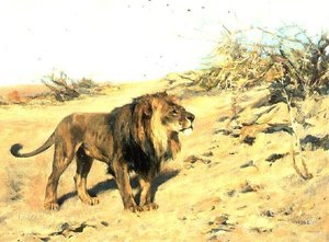 Un lion parmi les broussailles