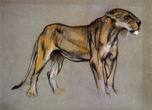 Une lionne, c.1900 - Arthur Wardle