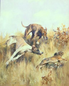 Lévriers en chasse - Arthur Wardle
