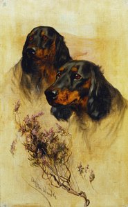 Deux Setters Gordon