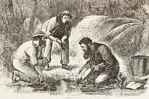 Australie (1880). La vie des chercheurs d