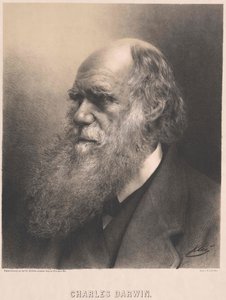 Charles Darwin - Artist Unknown