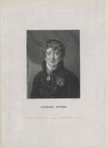Georg Cuvier (impression) - Artist Unknown