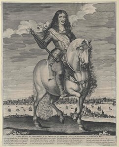 Roi d