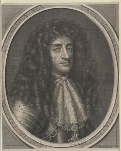 Roi d