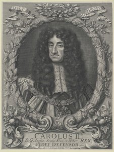 Roi d