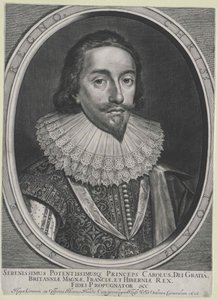 Roi d