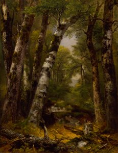 Woodland Glen - Asher B. Durand