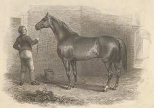 Éclipse américaine, 1824