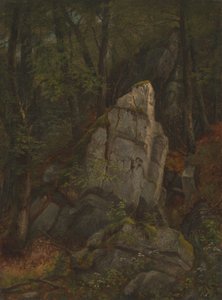 Étude des roches dans le ravin de Pearson