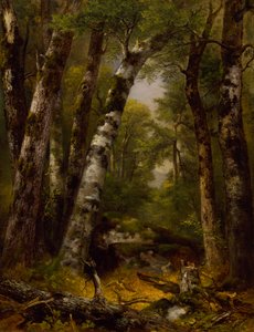 Bois, vers 1850-1855