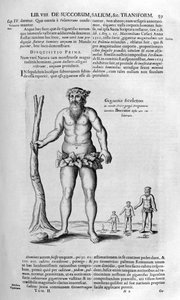 Géants antédiluviens, 1678 - Athanasius Kircher