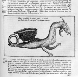 Dragon, 1678 - Athanasius Kircher