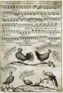 Le chant émis par certains volatiles exprimé par des notes de musique d