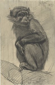 Singe sur une branche - August Allebe