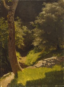 Paysage de parc avec chemin de jardin - August Cappelen