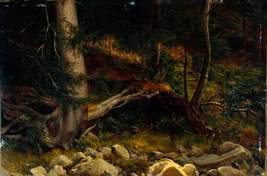 Étude du sol forestier (peinture) - August Cappelen