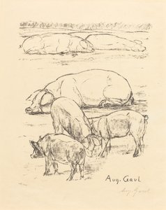 Cochons
