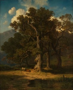 Paysage forestier - August Maximilian Zimmermann