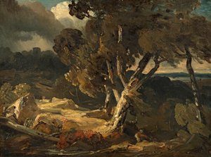 Paysage de tempête