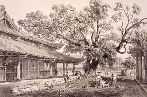 Le temple de Bouddha dans les faubourgs de Honan à Canton, planche 24 de 