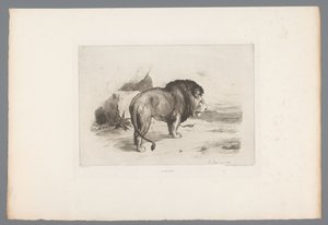 Lion (série: Eaux-fortes françaises de 1874)