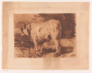 Taureau dans le pré - Auguste Danse (signed by artist)