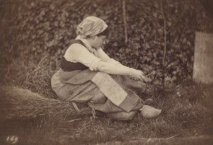 Paysan, c. 1870 (photo)