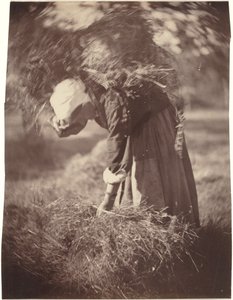 Paysan, c. 1870 (photo)