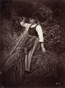 Paysan, c. 1870 (photo)