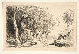 Les arbres tordus (Saint-Jean-de-Monts)
