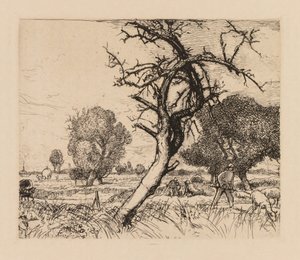 Auguste Lepère : Le pommier mort (Picardie)