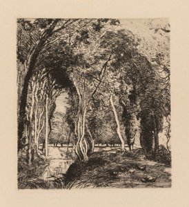 Auguste Lepère : Sous bois, à la Rigonette (Vendée) - Auguste Louis Lepère