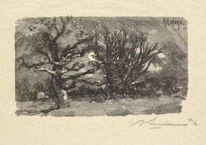 Forêt de Fontainebleau : Au dormoir de Lantara, 1890 - Auguste Louis Lepère