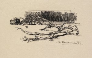 Forêt de Fontainebleau : Carrefour de l