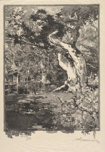 Forêt de Fontainebleau : Le Clovis, Plateau de Bellecroix La Forêt de Fontainebleau..., 1890 - Auguste Louis Lepère