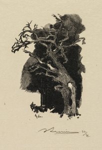 Forêt de Fontainebleau : Le rageur