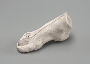 Pied droit, possiblement 1880 - Auguste Rodin