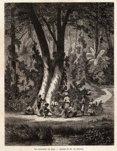 La cueillette du Syri, ou bétel, dont la feuille enduite de chaux est essentielle à la production du Chic local. Dessin de M. de Molins, pour illustrer son voyage à Java - Auguste de Molins