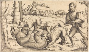Chasse à l
