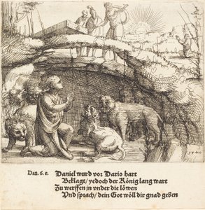 Daniel dans la fosse aux lions - Augustin Hirschvogel