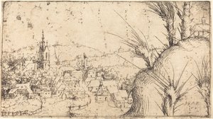 Paysage avec une Ville à Gauche - Augustin Hirschvogel