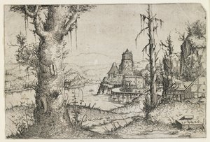 Grand arbre et château sur un lac - Augustin Hirschvogel