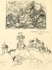 Étude de la nature - Augustin Hirschvogel
