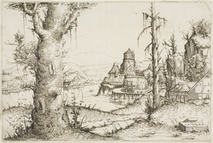 Paysage fluvial avec grand arbre au premier plan - Augustin Hirschvogel