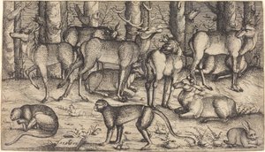 Cerfs dans la Forêt - Augustin Hirschvogel
