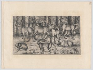 Cerfs dans la forêt - Augustin Hirschvogel
