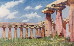 Basilique de Paestum - Augustine Fitzgerald