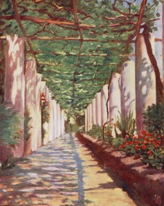 Terrasse de l